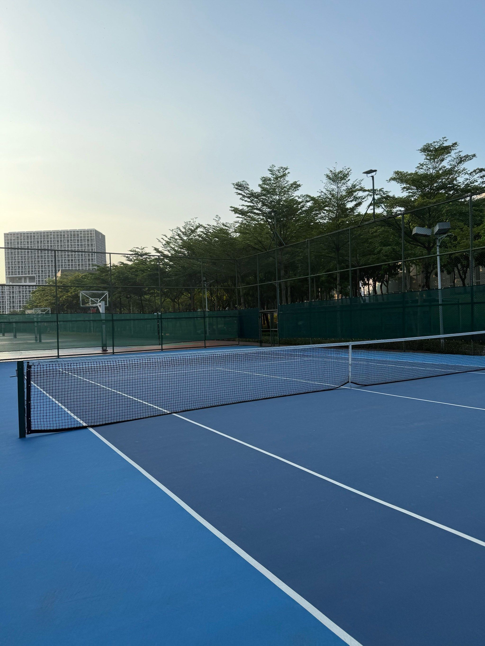 为这项运动 为这项运动