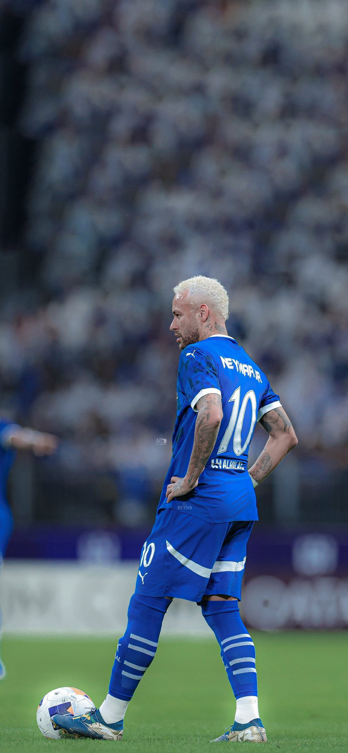 显示出极高 显示出极高